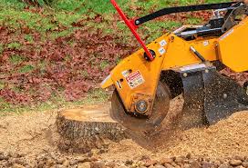 Best Tree Preservation Services  in Socastee, SC