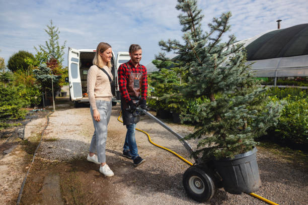 Socastee, SC Tree Services Company